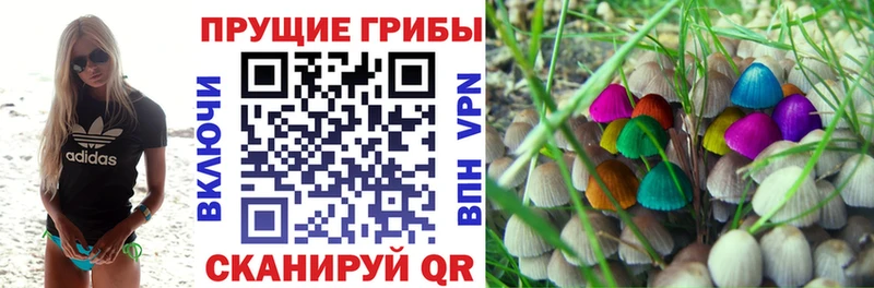 Галлюциногенные грибы Cubensis  Певек 